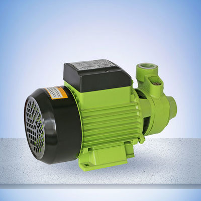 Cast Iron Head 60L/Min 1HP Peripheral Pump With Copper Impeller,longer life and the 180-240v voltage can be used widely